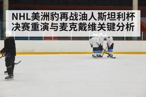 ice hockey players body check
